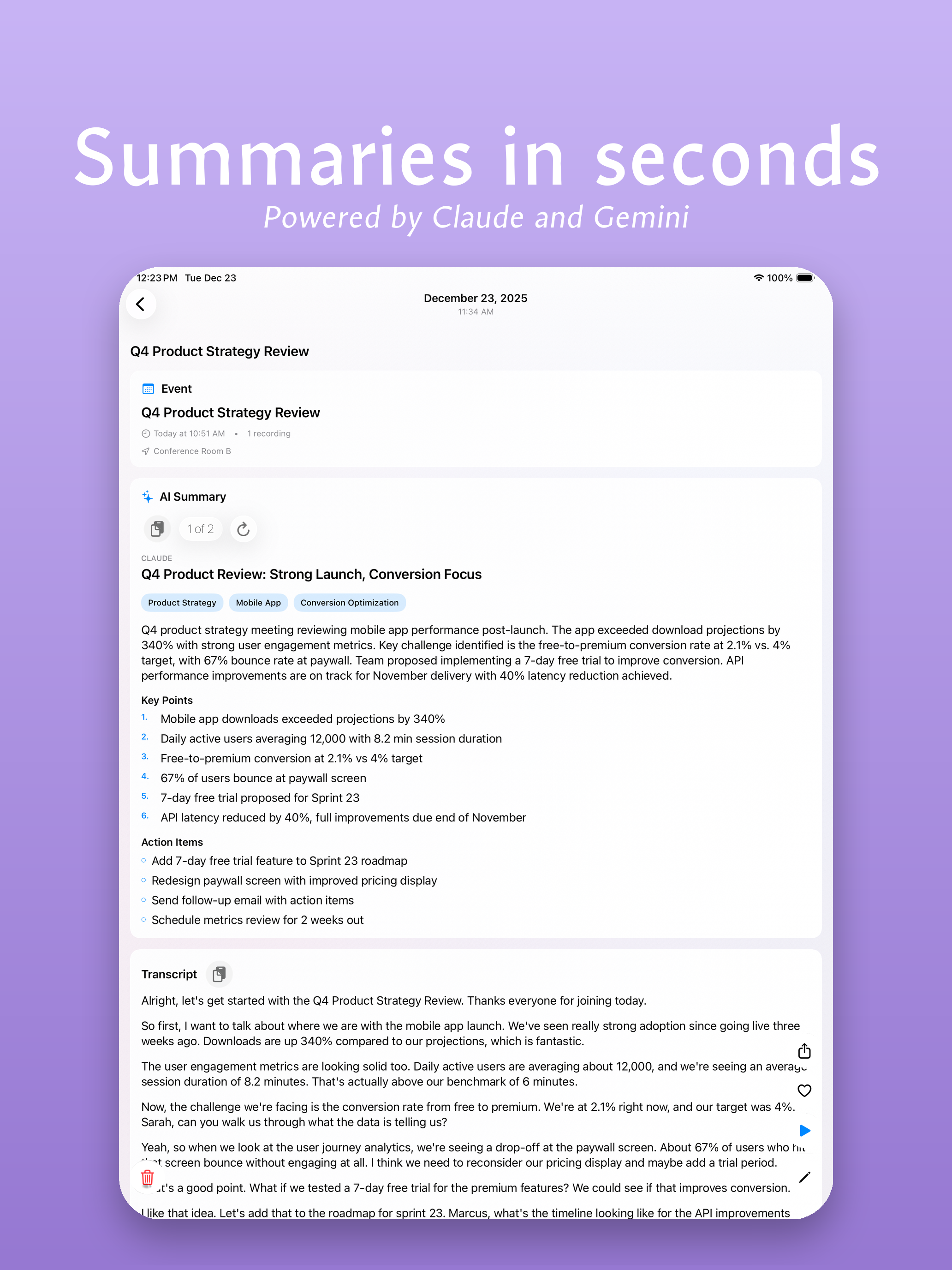 Scriba on iPad - AI Summaries